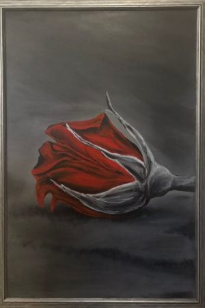 Cvet ruže