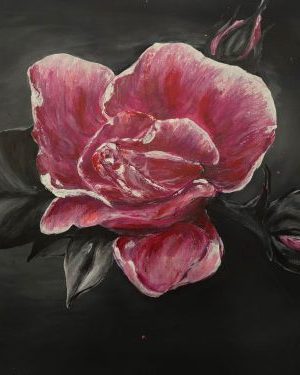 roze delikatnost