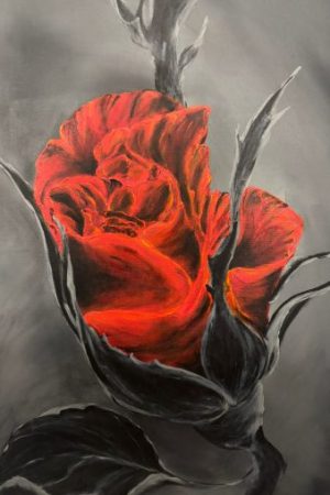 crvena elegancija
